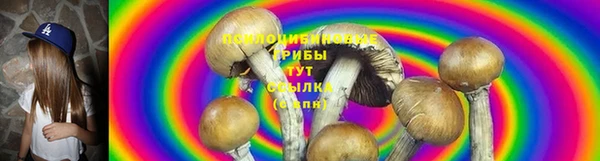 PSILOCYBIN Абинск