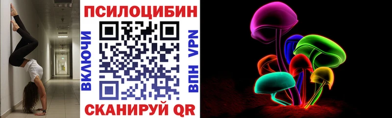 Псилоцибиновые грибы Psilocybe Игарка